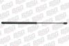 BSG BSG 65-980-012 Gas Spring, boot-/cargo area